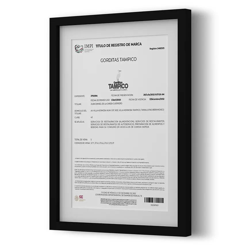 Título de Registro
